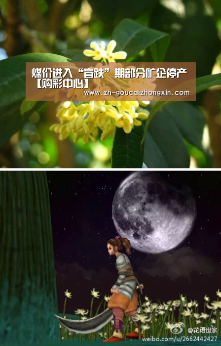 煤价进入“盲跌”期部分矿企停产【购彩中心】(图2) 购彩中心
