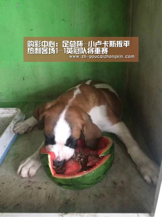 购彩中心