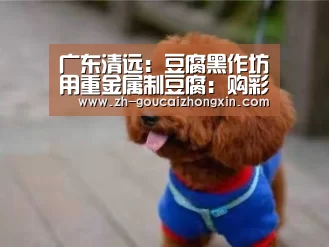 购彩中心