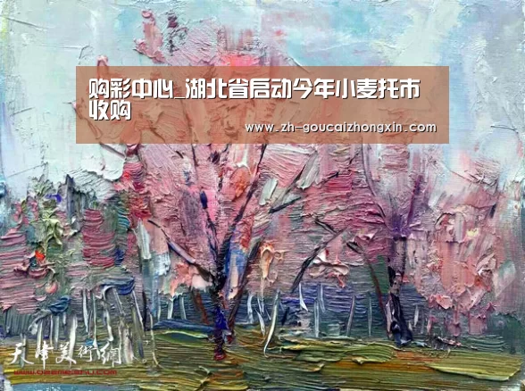 购彩中心_湖北省启动今年小麦托市收购(图1) 购彩中心