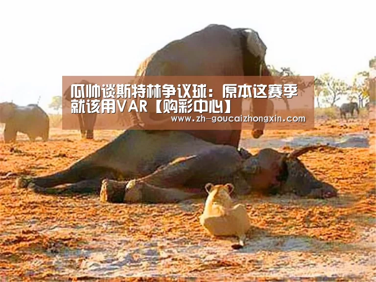 购彩中心