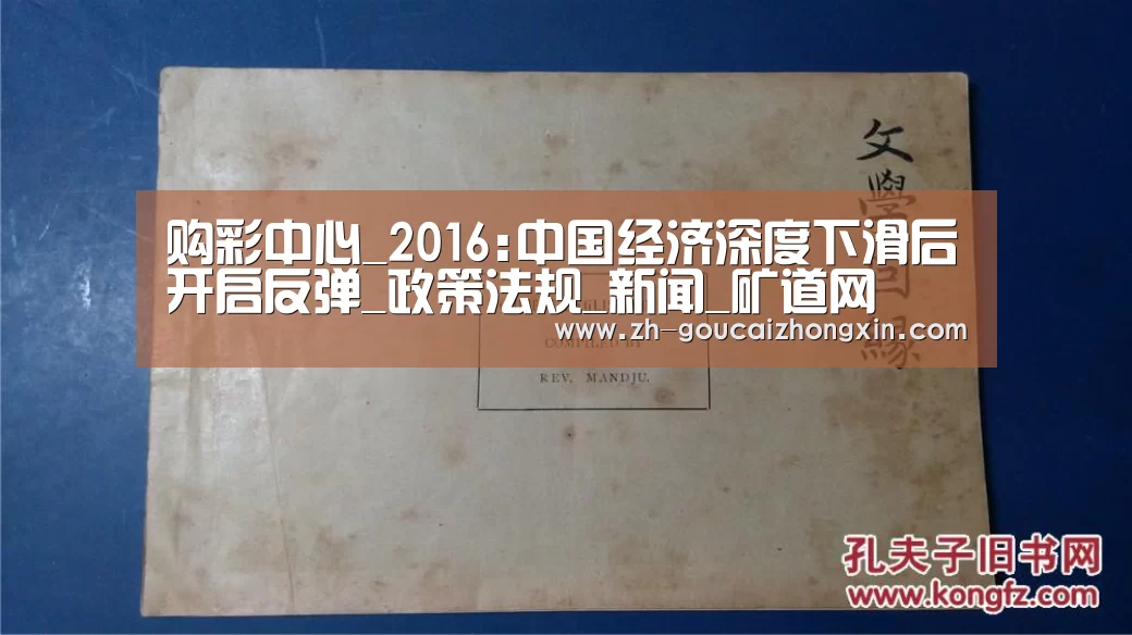 购彩中心_2016:中国经济深度下滑后开启反弹_政策法规_新闻_矿道网(图4) 购彩中心