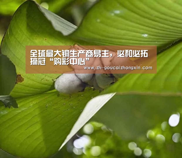 购彩中心