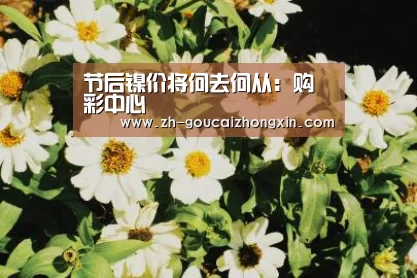 购彩中心